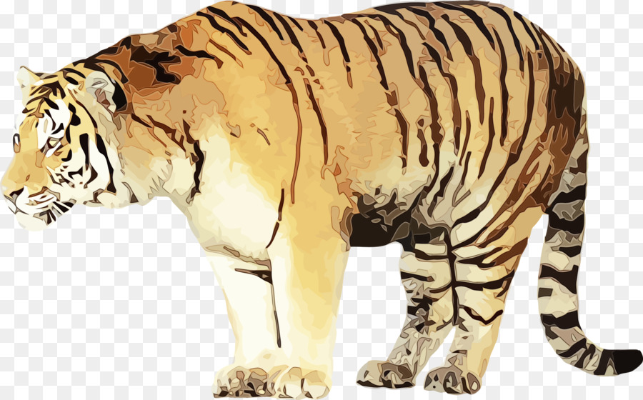 Wildlife terrestrisches Tier Bengal Tiger Tiger Tierfigur - 