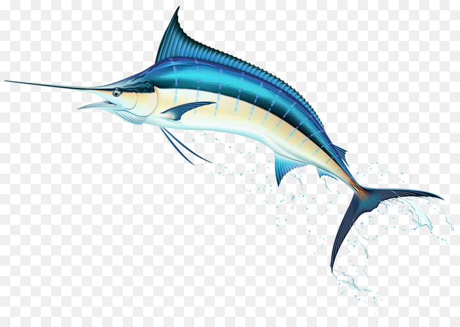 Swordfish Fishfish Atlantic Blue Marlin Marlin - 
