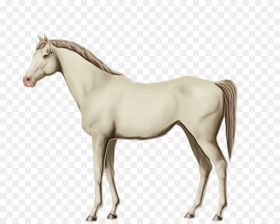 Pferd Tierfigur Stute Sauerampfer Mähne - 