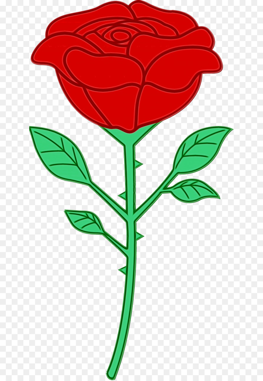 Hoa hồng - 