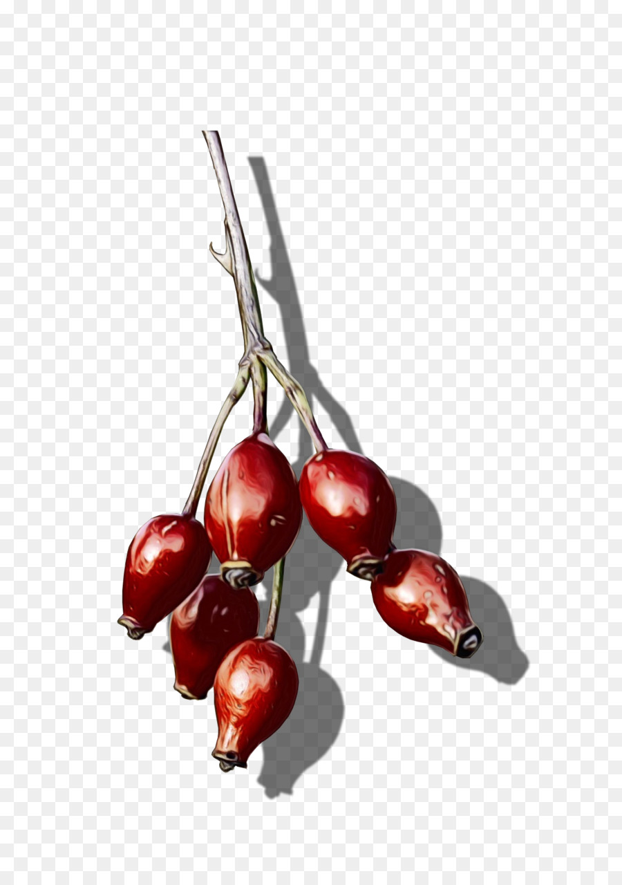 fruit cherry plant red food