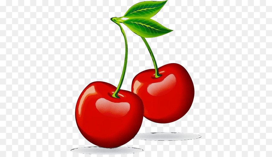 natural foods cherry plant fruit leaf
