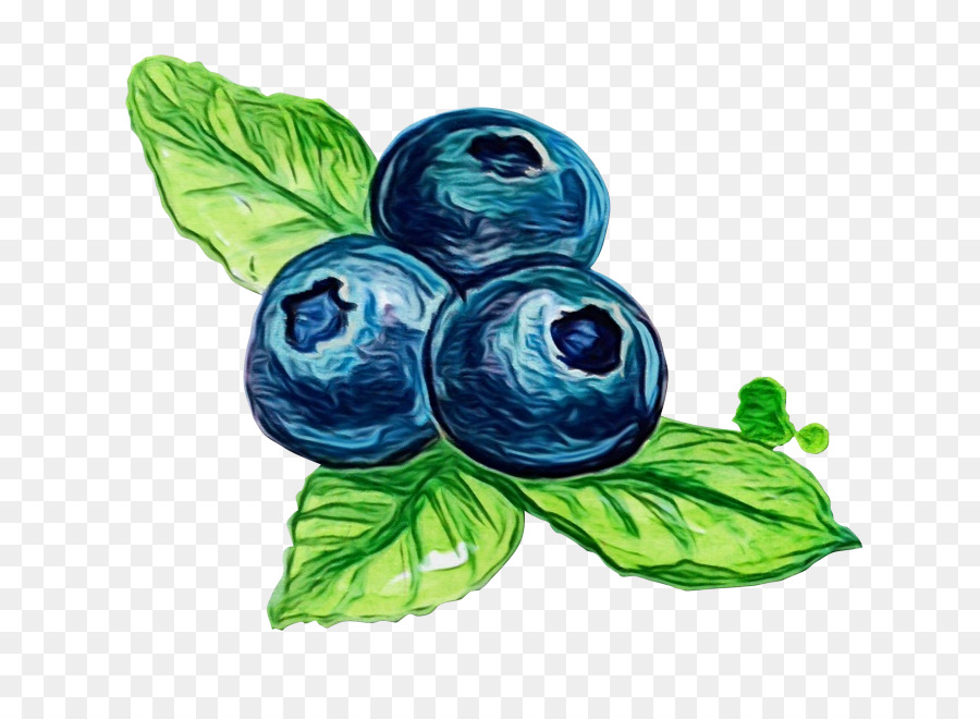 Foglia Blue Plant Berry Mirtillo - 