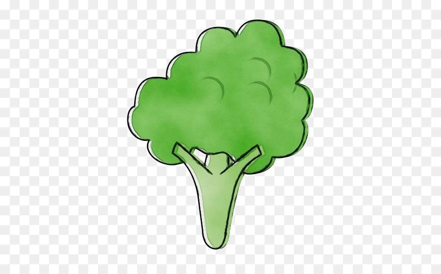 grüner Brokkoli Kreuzblütler Blatt Blattgemüse - 