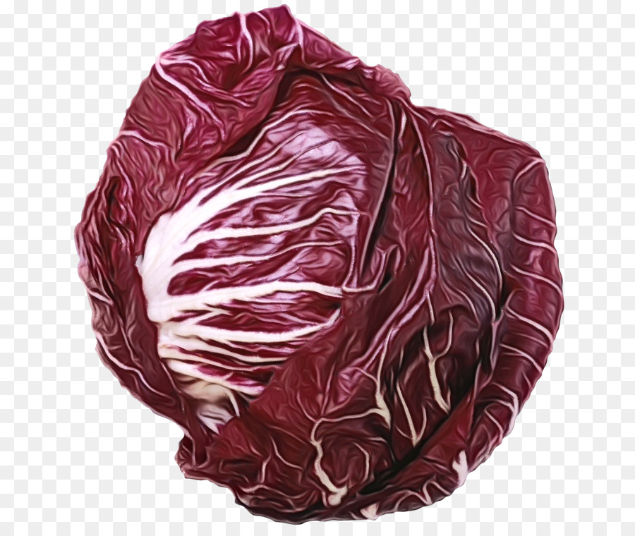 cabbage red cabbage radicchio leaf vegetable vegetable