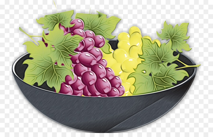 Traubengrapevine Familie Traube lässt Fruchtpflanze - 