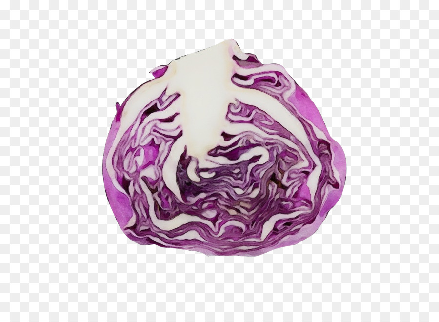 violet purple cabbage vegetable red cabbage