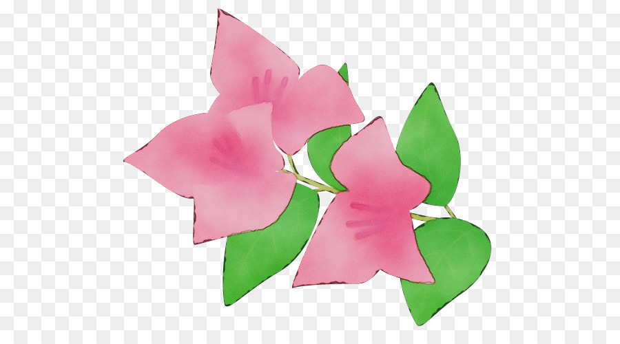 ruota della pianta del fiore del petalo rosa - 