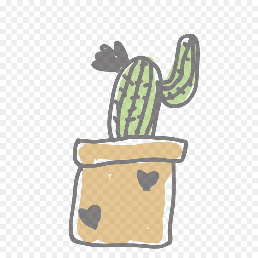 cactus - 