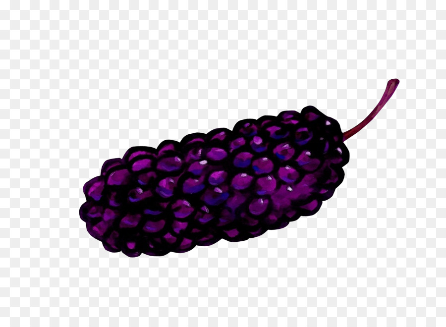 violette purpurrote magentarosa Frucht - 