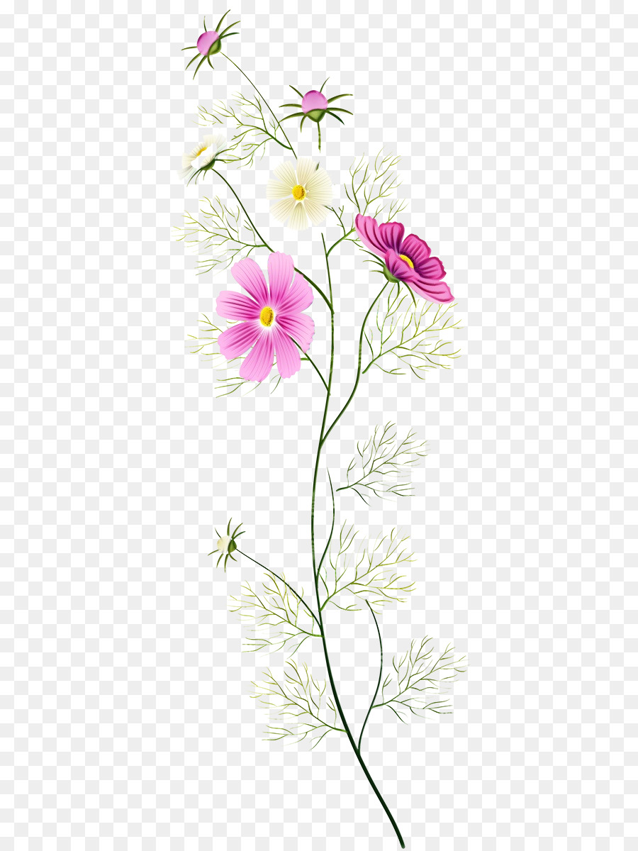 petalo di pedicel della pianta di fioritura della pianta del fiore - 