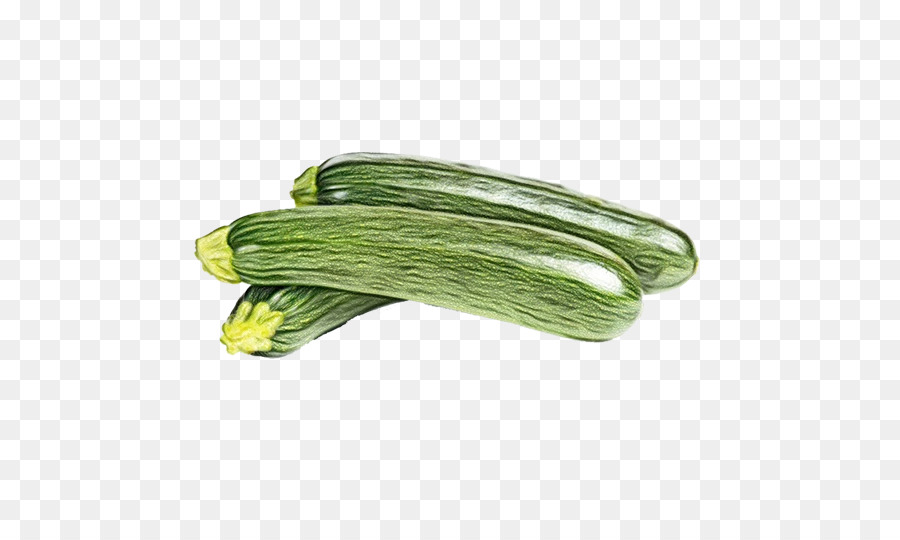vegetable plant armenian cucumber cucumis food