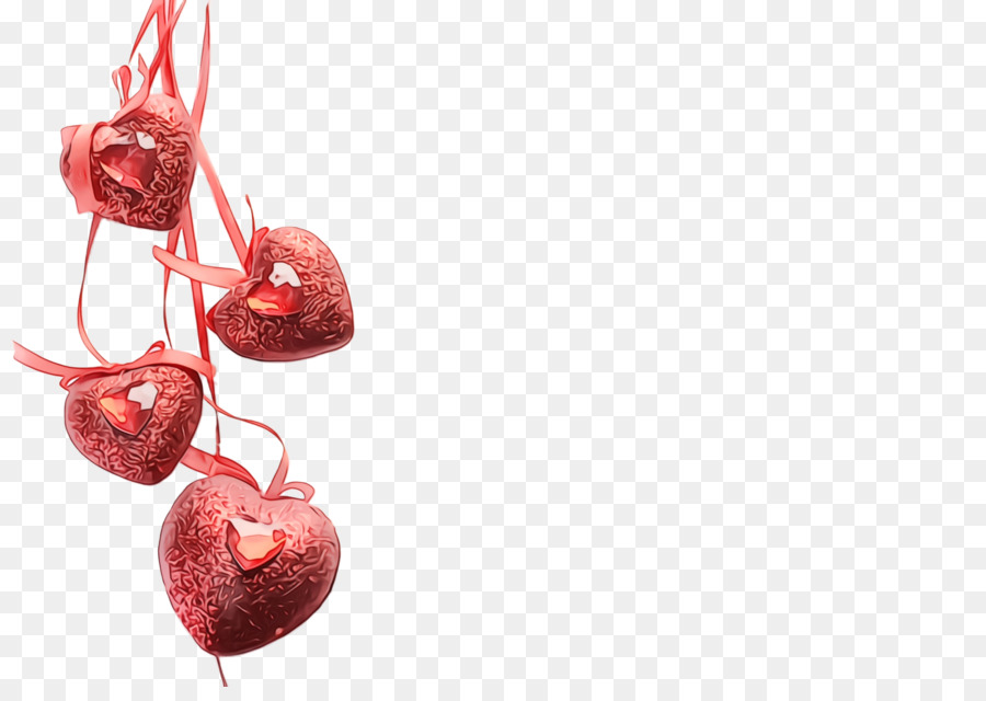 plant fruit cherry superfruit food