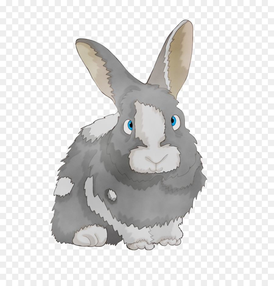 coniglio domestico coniglio conigli e lepri figura animale lepre - 