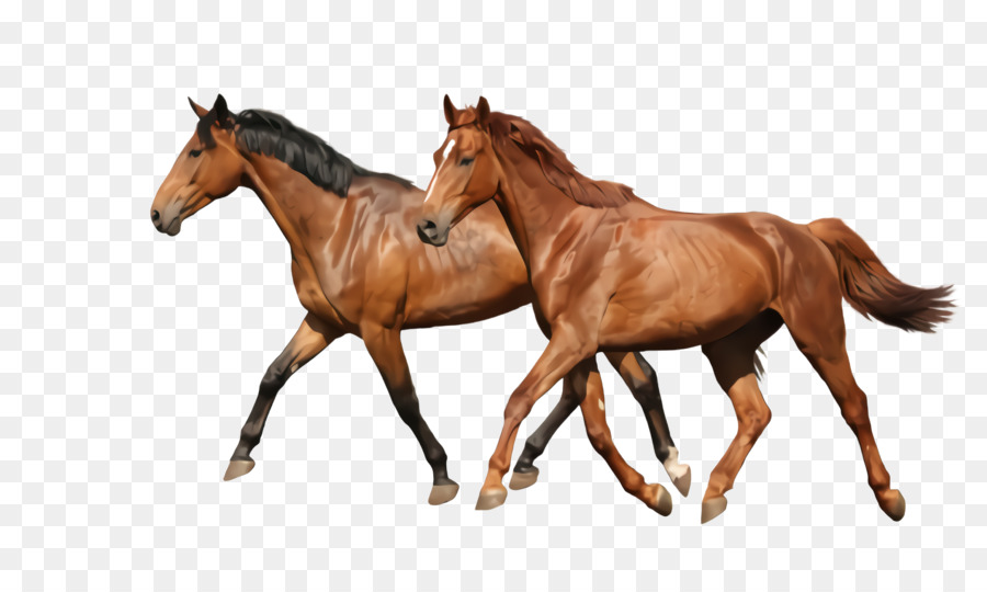 Pferd Tierfigur Surrel Mare Mustang Pferd - 