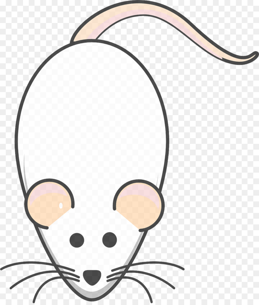 head nose snout rat cartoon