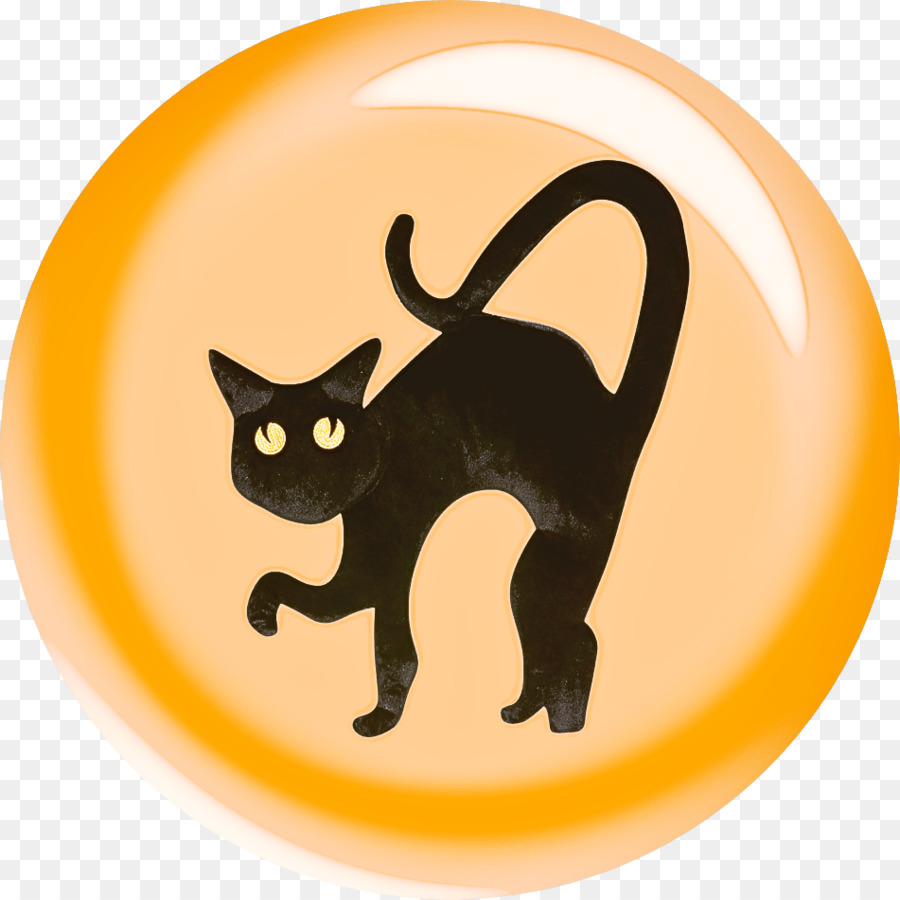 gatto gatto nero gatti di piccola e media taglia giallo bombay - 