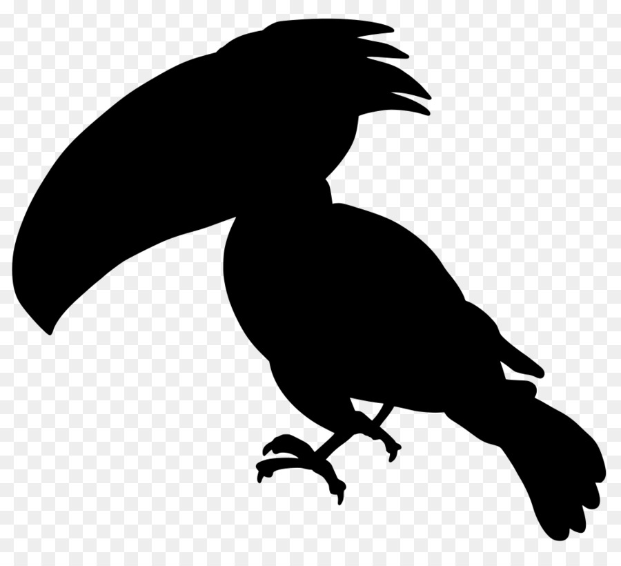 bird beak wing claw tail