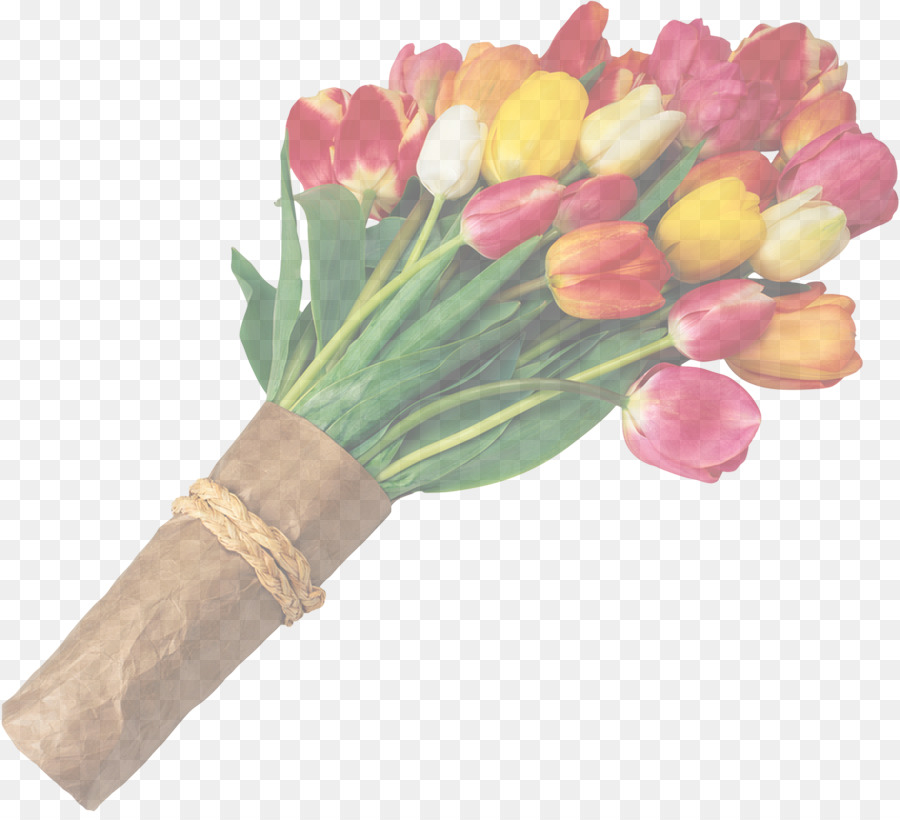 hoa tulip cắt hoa bó hoa - 