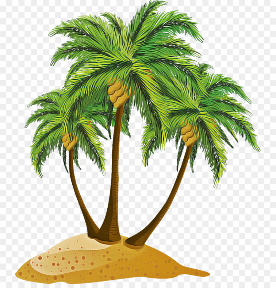 albero di palma - 
