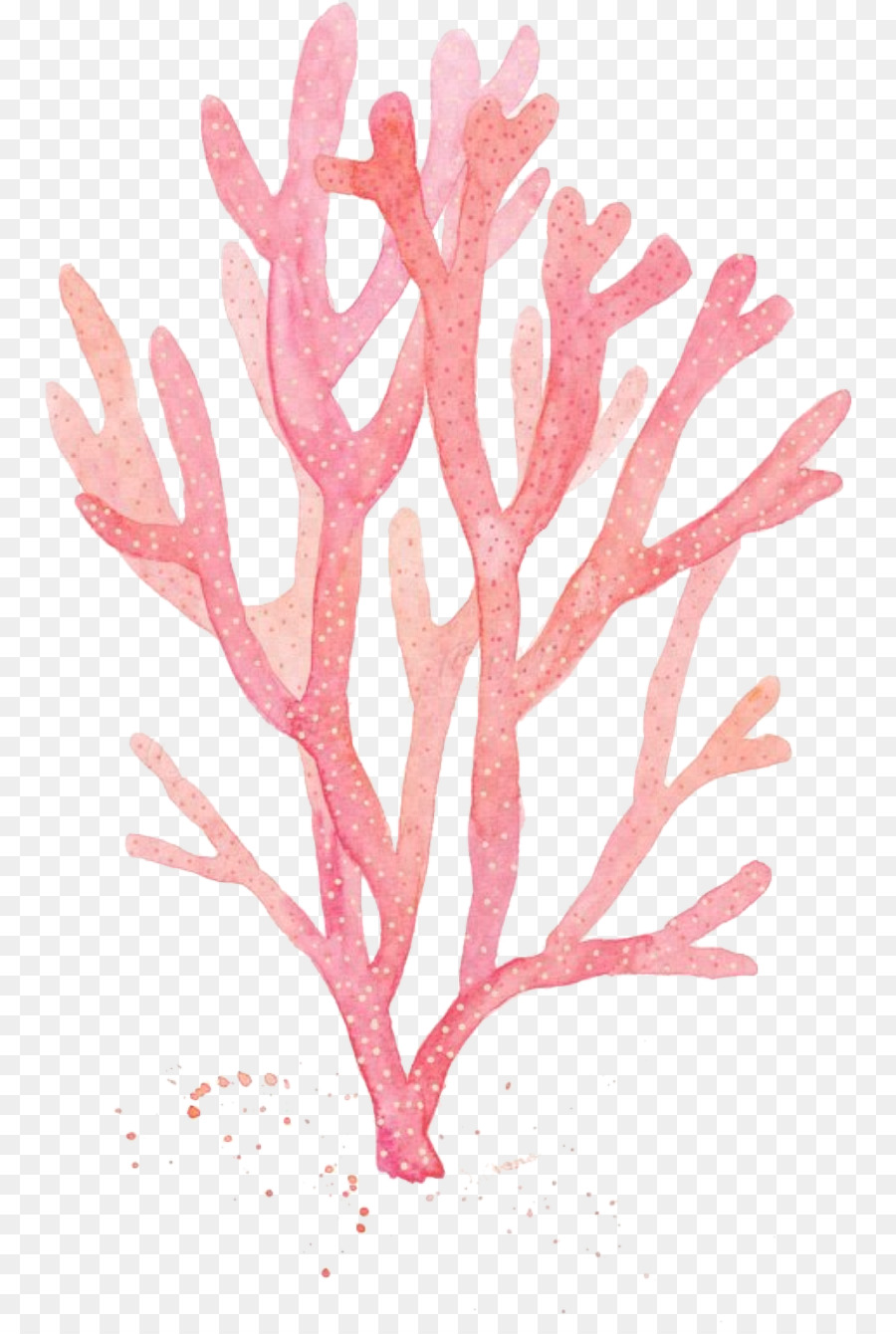 trang trí hồ cá màu hồng san hô rong biển - 