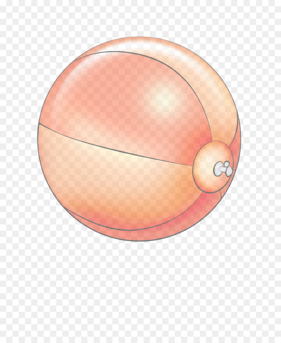 peach pink nose sphere ball