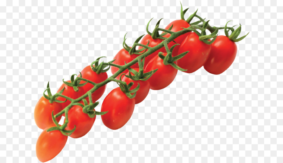 cà chua - Tomatoes cherry mùa xuân.