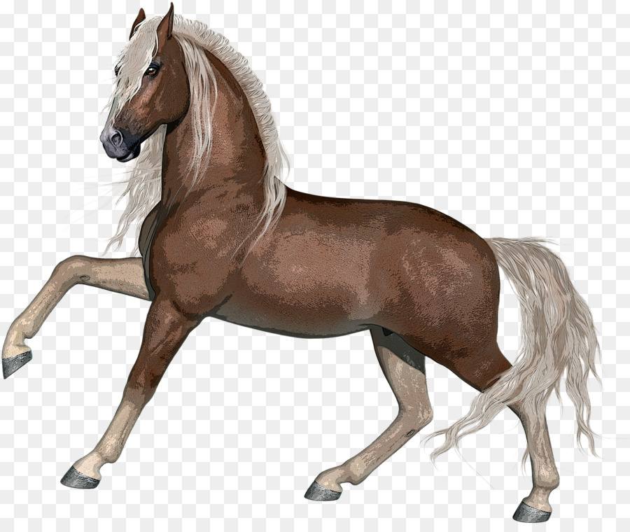 Pferd Tierfigur Mähne Hengst Stute - Bronco