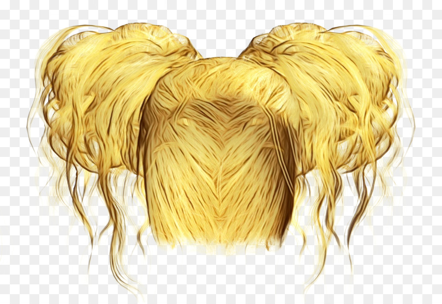 capelli giallo biondo acconciatura colorazione dei capelli - 
