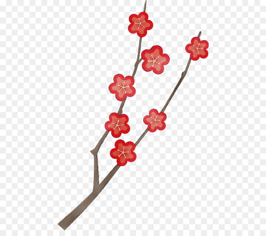 Kirschblüte - 