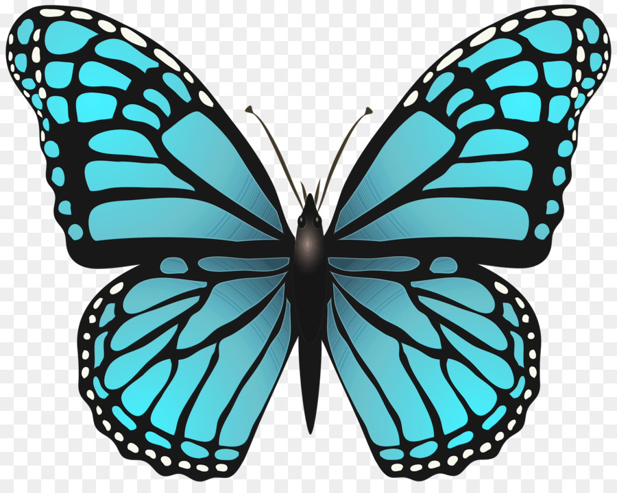 Farfalla monarca - 
