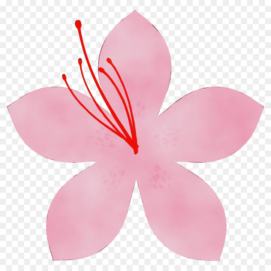 Blütenblatt rosa Blume Pflanze Stiel - 
