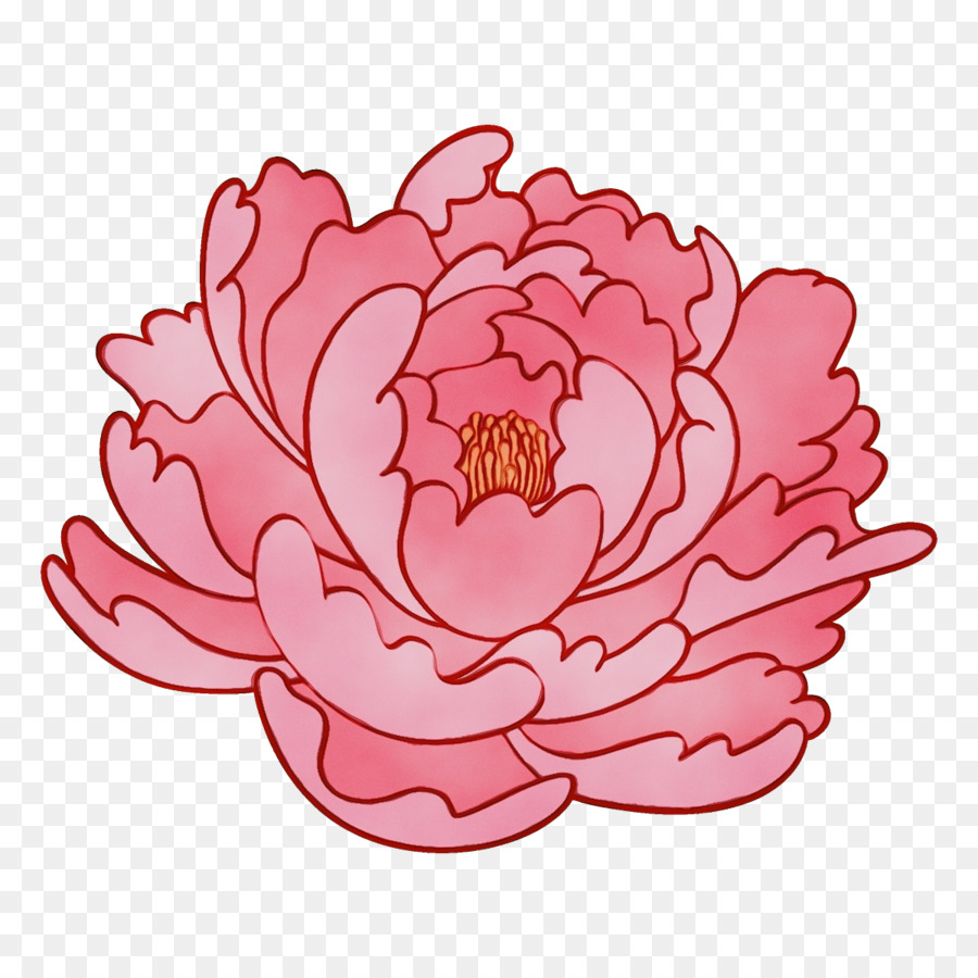 pianta da fiore rosa della pianta del fiore del petalo - 