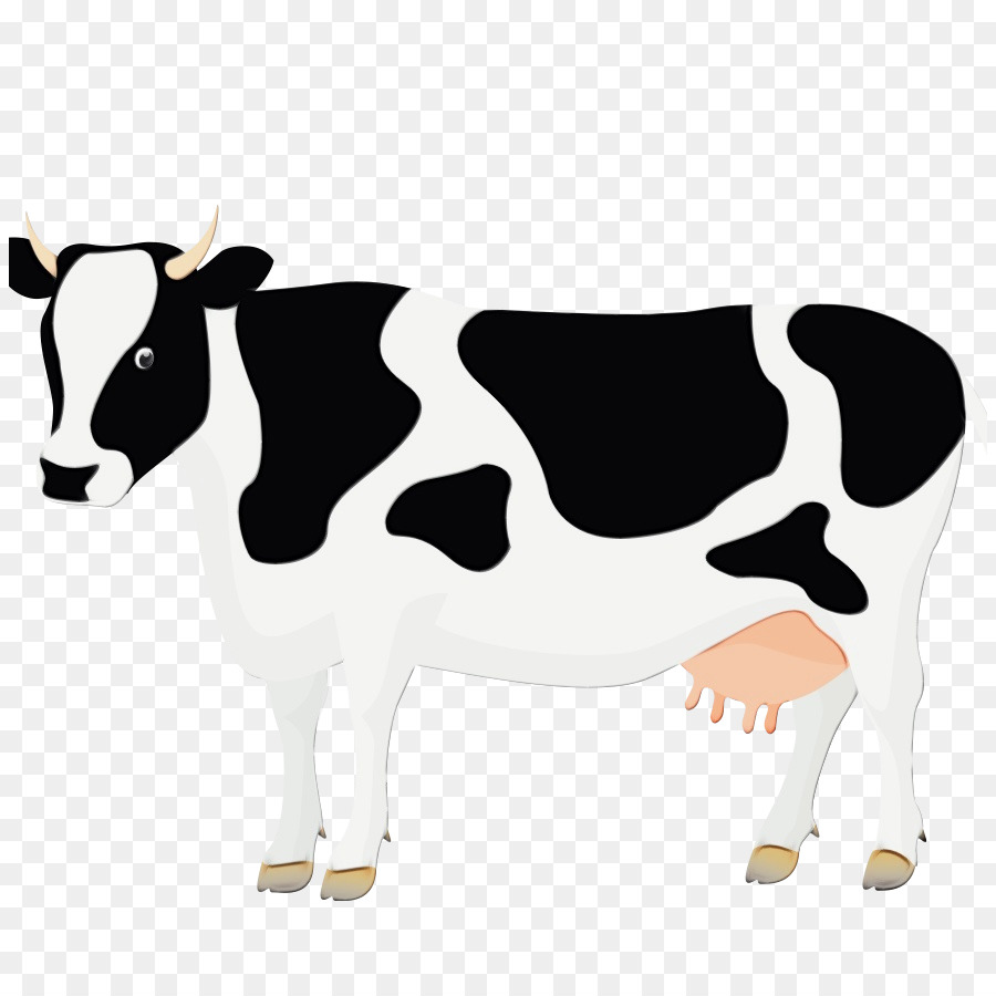 dairy cow bovine clip art cartoon cow-goat family png download - 884*884 -  Free Transparent Watercolor png Download. - CleanPNG / KissPNG