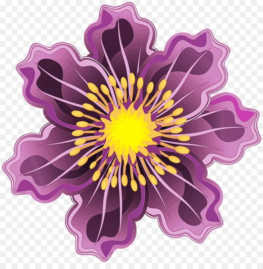 purple flower violet petal plant