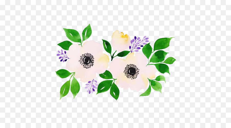 cây hoa cánh hoa tím - 