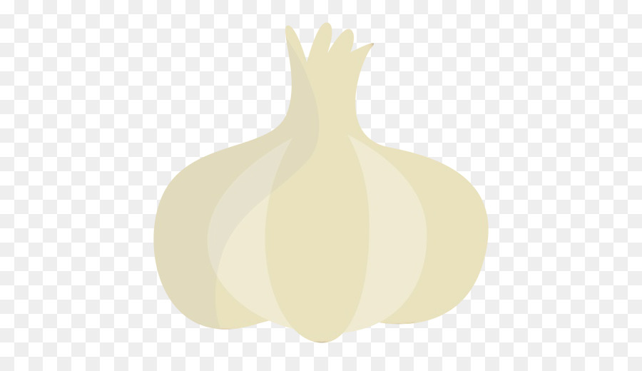 garlic onion vegetable plant allium