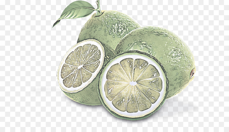 Zitrus Zitrusfrucht Limette persische Limette - 