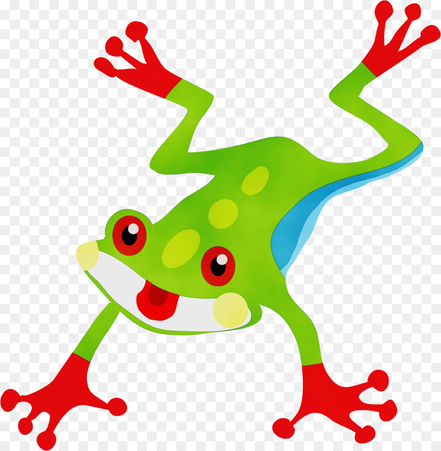 cây agalychni ếch ếch cây ếch ếch clip nghệ thuật - 