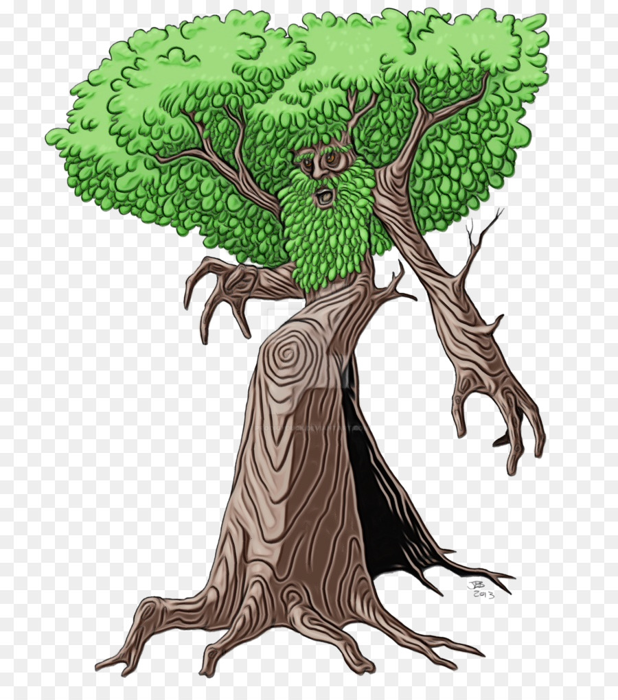 albero pianta radice foglia vegetale legnosa pianta - 