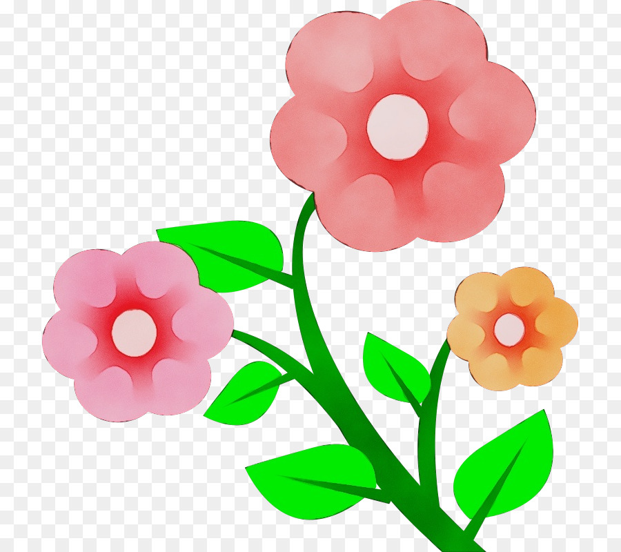 clip art pink flower petal plant