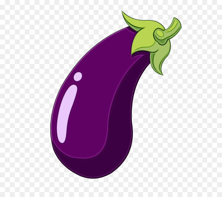 eggplant violet purple vegetable plant