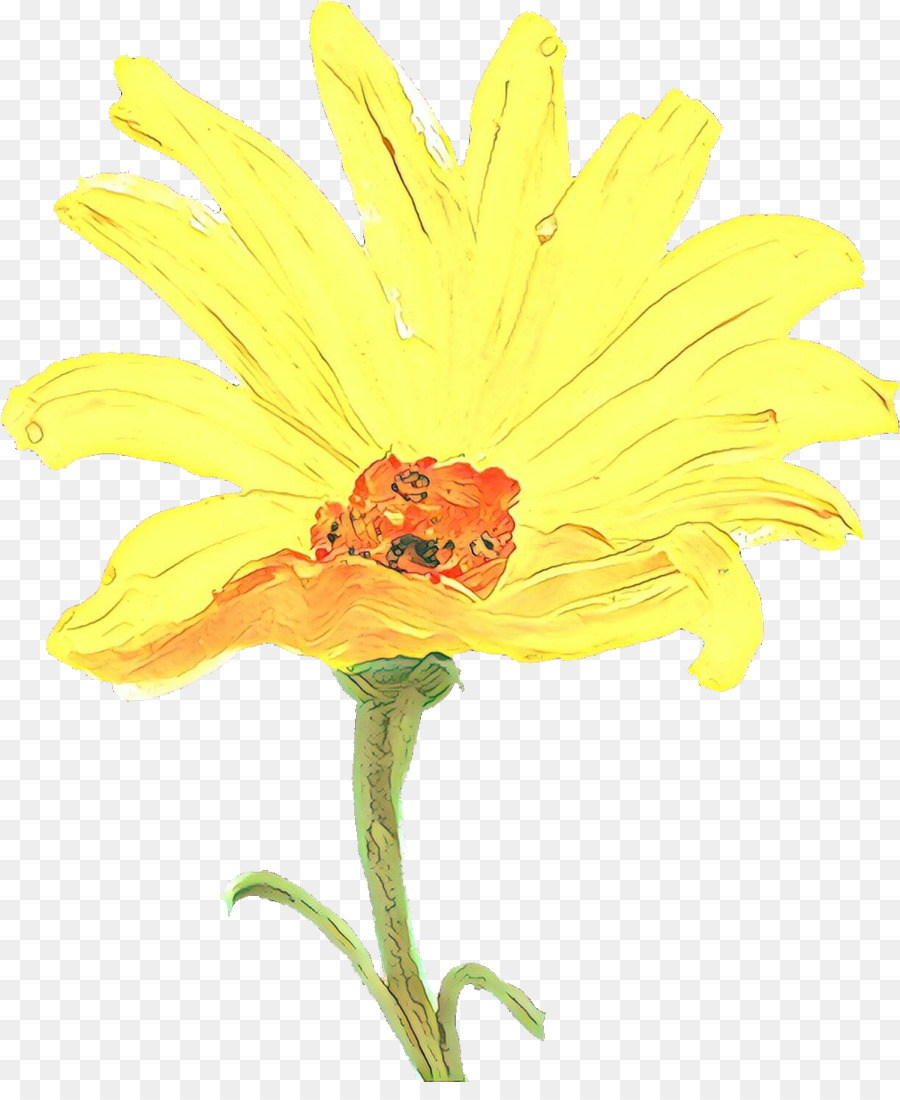 petalo giallo della pianta di fioritura del fiore - 