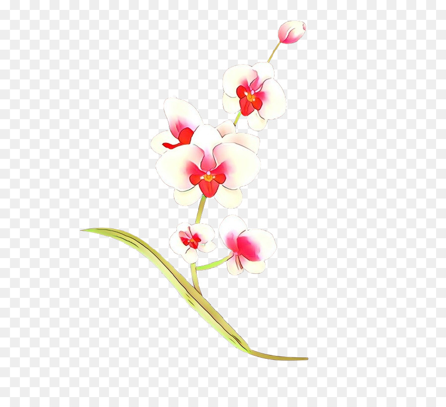 blühende Pflanze Blütenpflanze Stielrosa - 