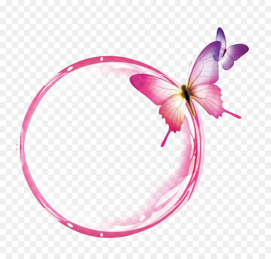 pink petal plant flower butterfly