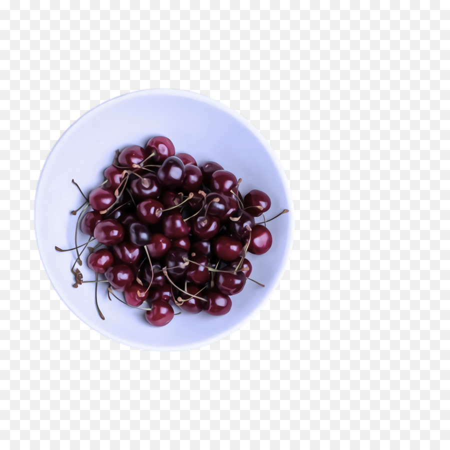 Lebensmittelviolette Berry-Fruchtpflanze - 