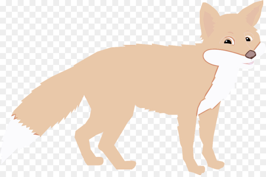 Fennec Fox Red Fox Fox Swift Fox Coda - 