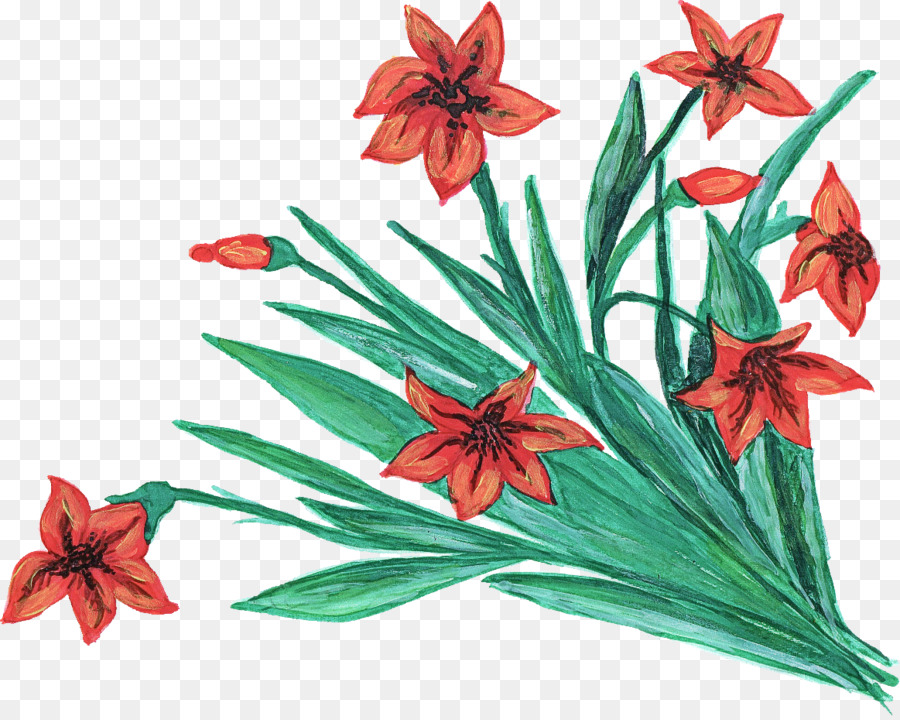 petalo rosso della pianta di fioritura del fiore della pianta - 