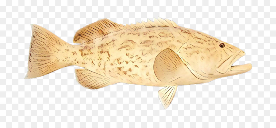 fish fish sole flounder