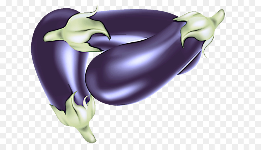 eggplant vegetable purple violet plant